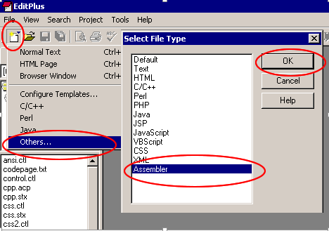 Programming Language Help And Guide: Edit Plus