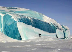 تجمد موجة في " أنتاركتيكا "