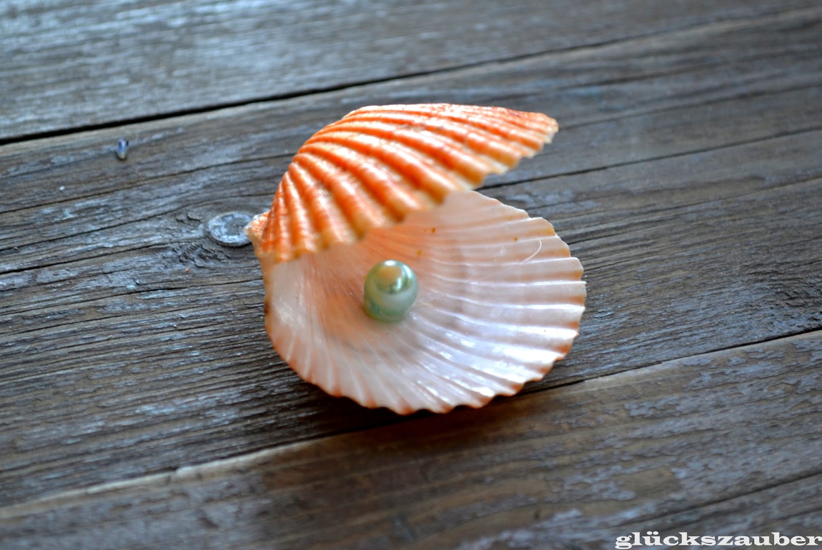Schöne Bilder Mit Muscheln glückszauber Diy Allerlei Tiere Segelschiffe und
