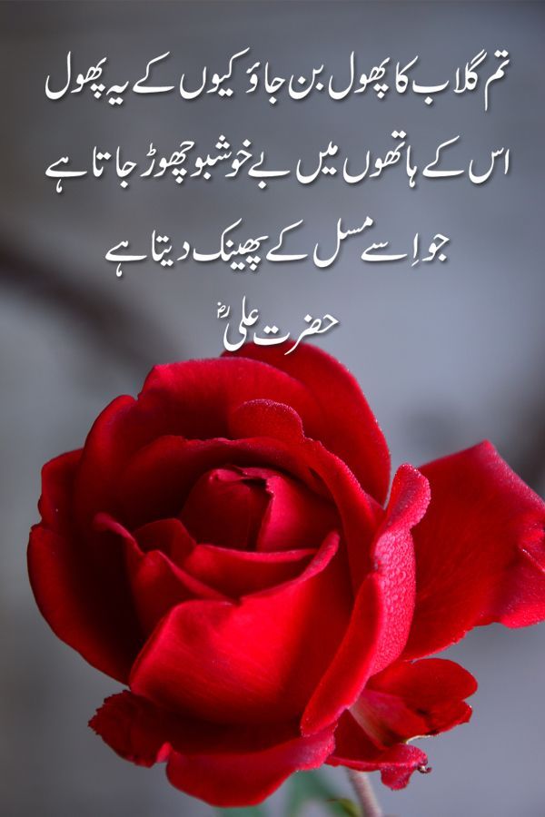 love couple images with hindi shayari