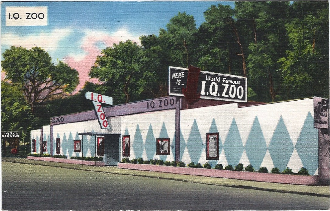 Arcane Arkansas History: . Zoo- More than just training animals for  entertainment