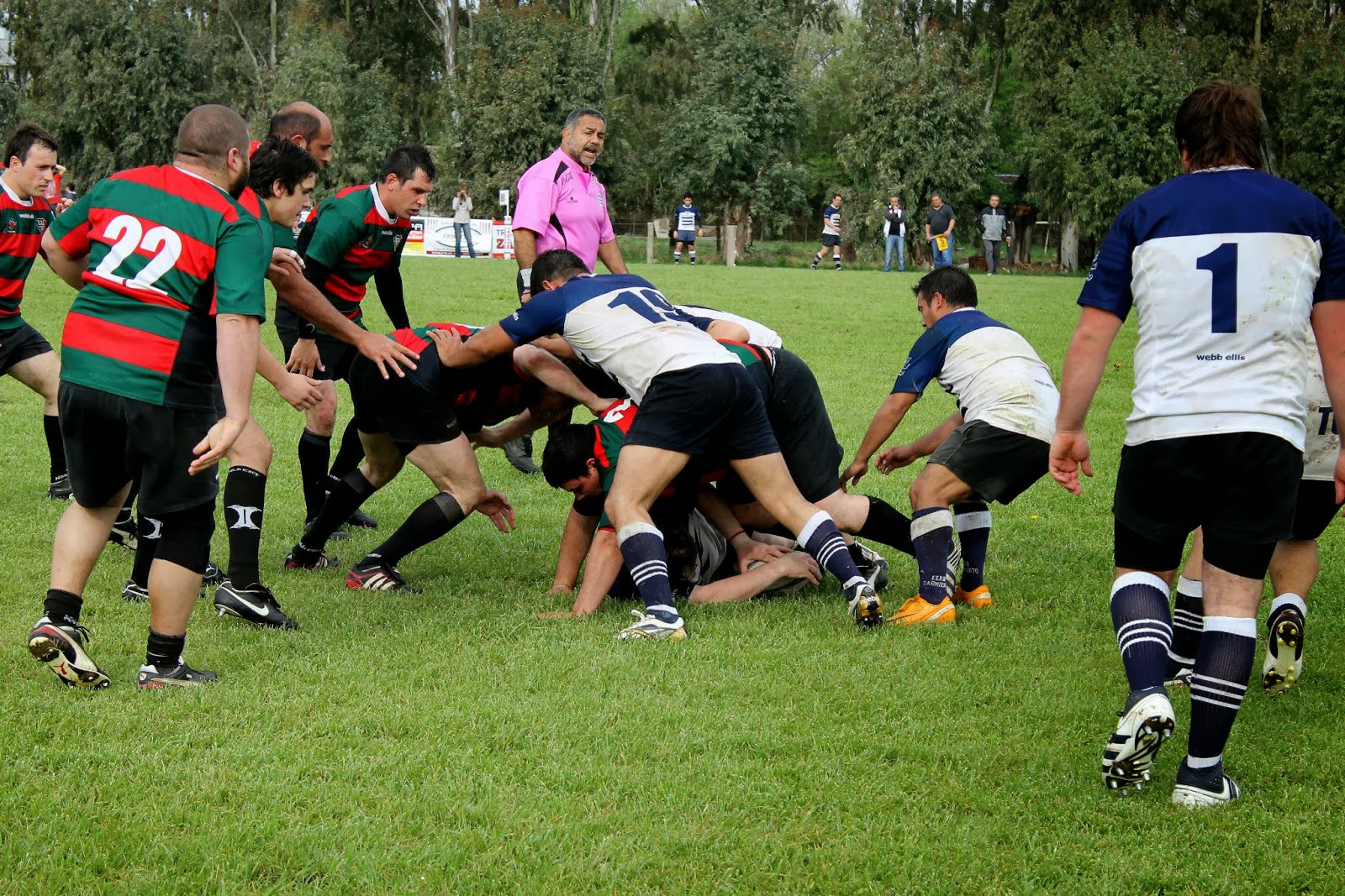 InfoPuan: TOROS EN RODEO PROPIO