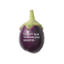 Cà tím Suraj  - Suraj (F1) Eggplant Seed ,Solanum melongena,SOL00125