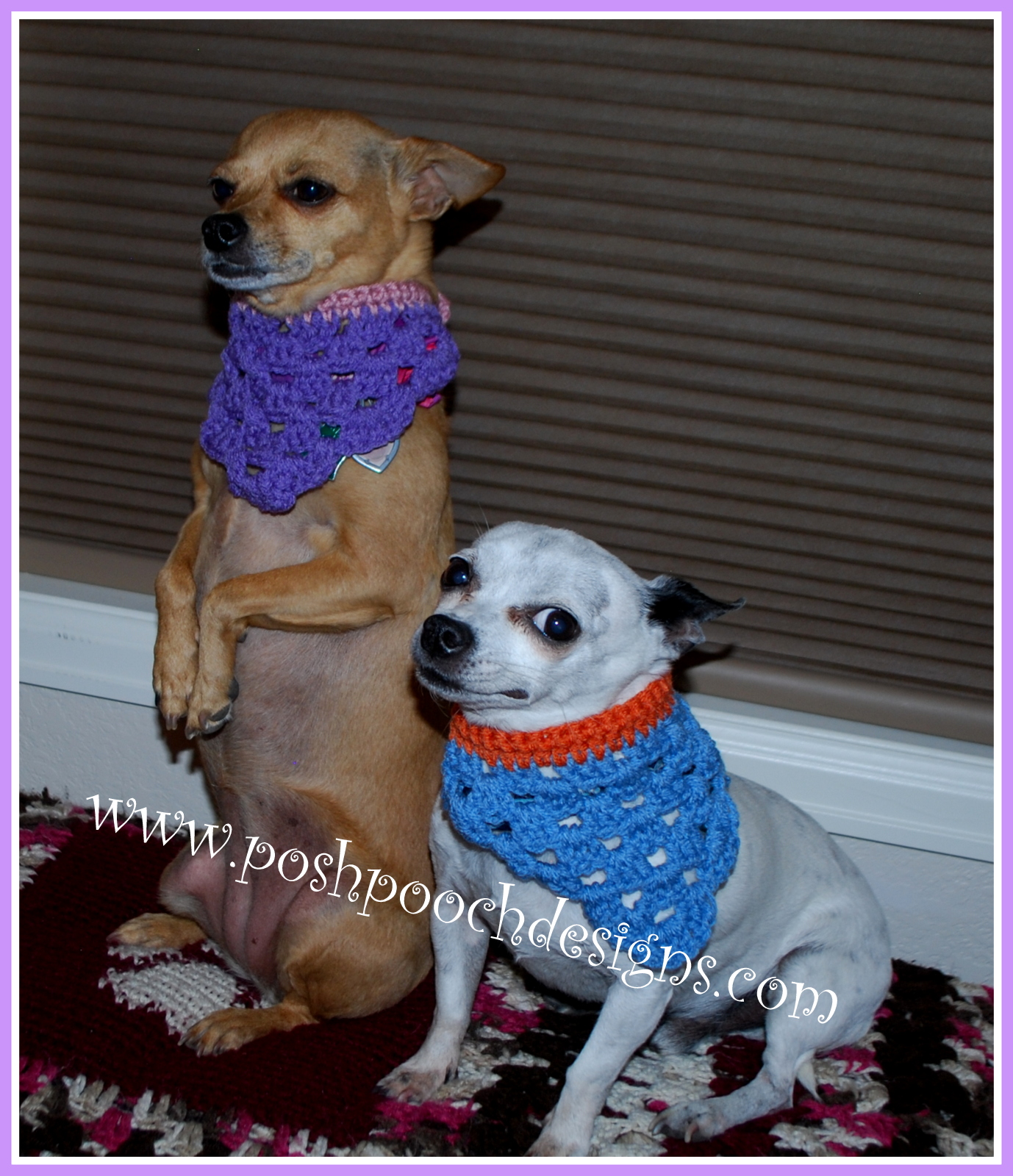 posh-pooch-designs-dog-clothes-crochet-pattern-for-dog-bandana-collar