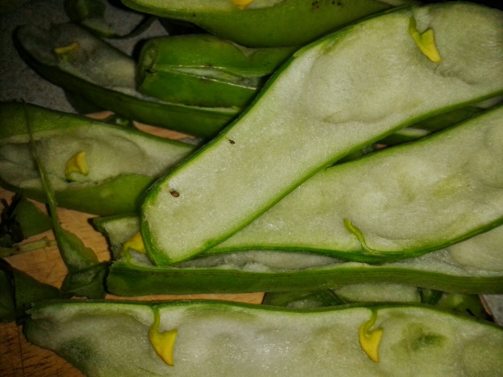 Buttons & Other Adventures The Broad Beans Are Sleeping In Their