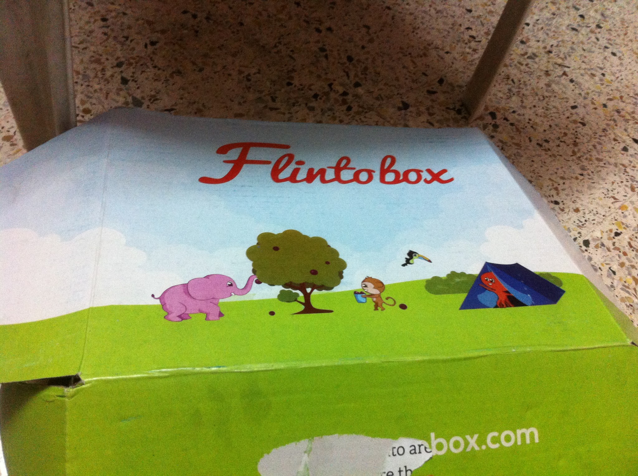 Fantastic Feathers: A day with Flintobox