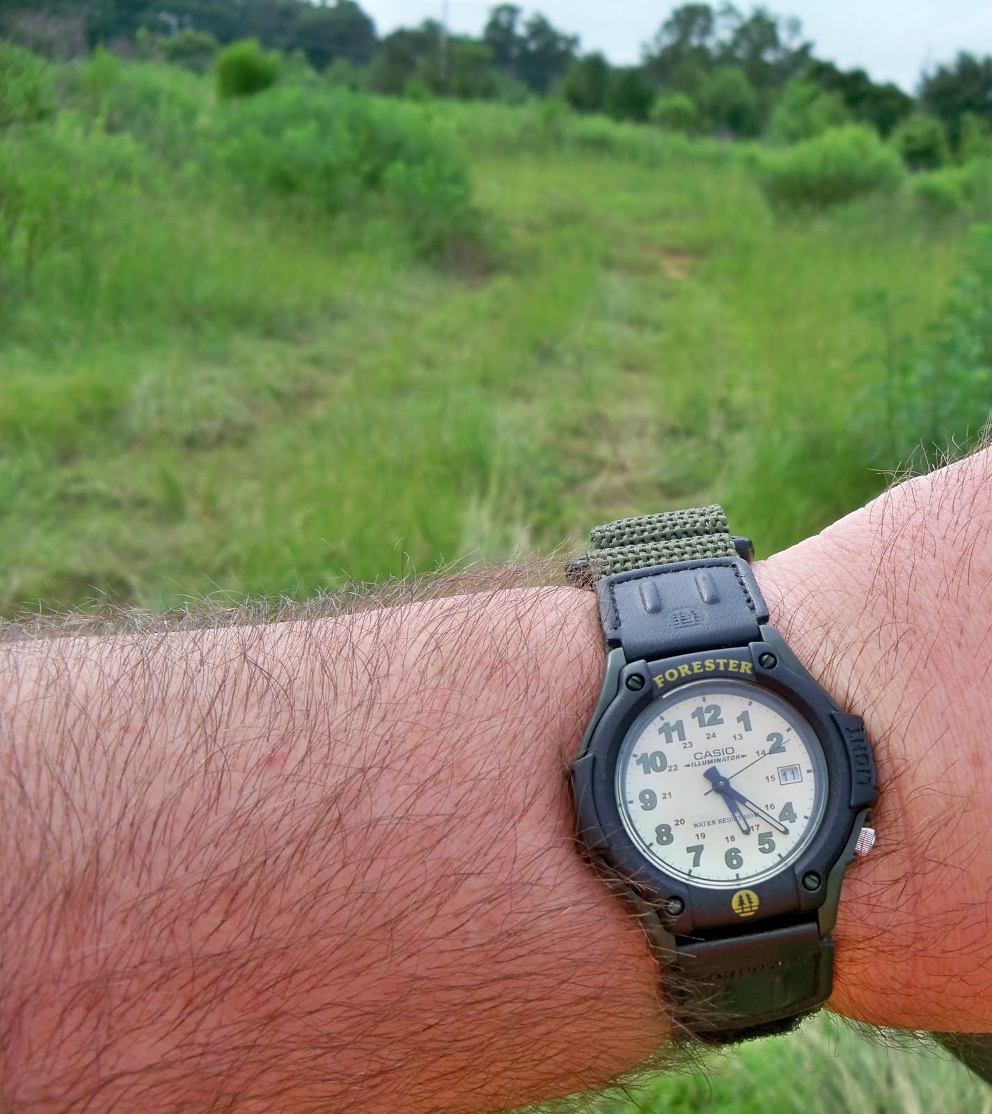 casio forester battery type