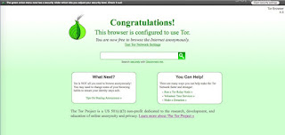 What is Tor Browser, Intall tor, stay anonymous, hide ip