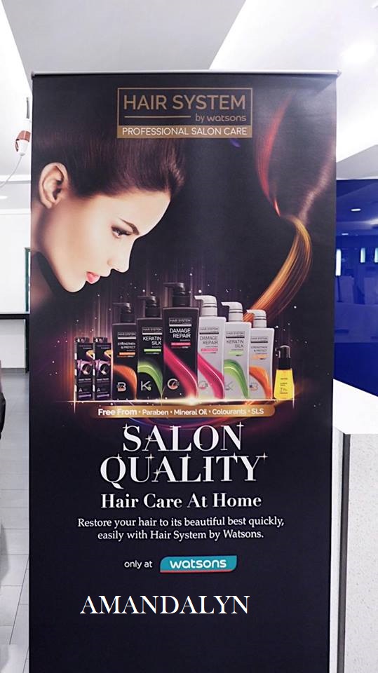 Amandalyn S World Hair System By Watsons Professional Salon