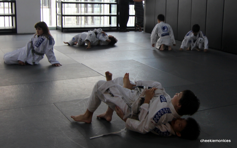 Cheekiemonkies Singapore Parenting & Lifestyle Blog Mixed Martial