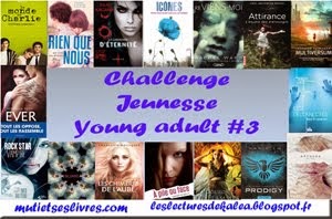 Challenge Jeunesse / Young Adult #3