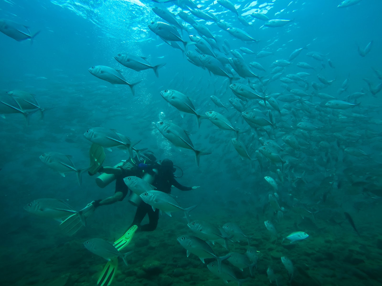 Discover Scuba Diving at Bauan, Batangas Project Gora
