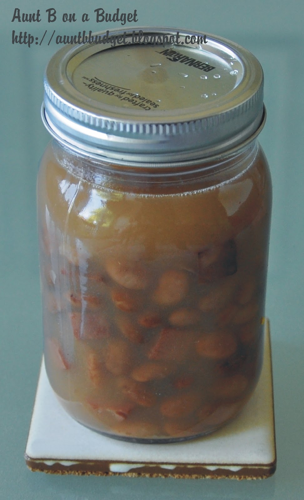 BethAnne on a Budget Slow Cooker Pinto Beans With Ham, and How to Can Them