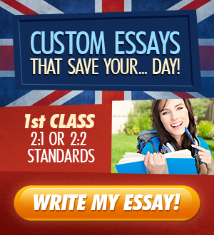 Custom Essays Available