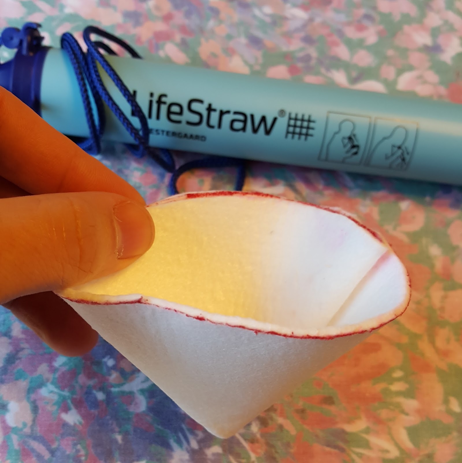 Ben's Journal The 3.00, 11 gram Water Filter You Probably Shouldn't Use