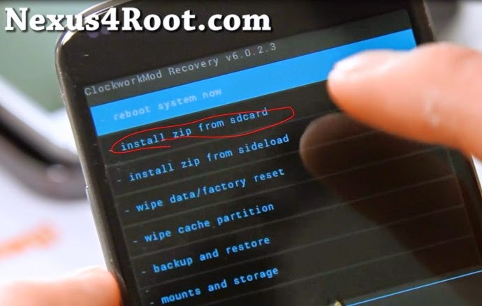 root