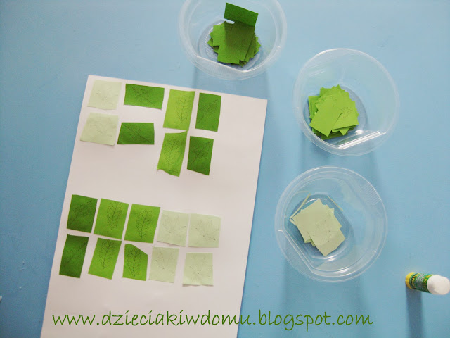 zielnik z liśćmi drzew, jak rozpoznać drzewo po jego liściu - kreatywne zabawy zielnik z liśćmi drzew, jak rozpoznać drzewo po jego liściu - kreatywne zabawy