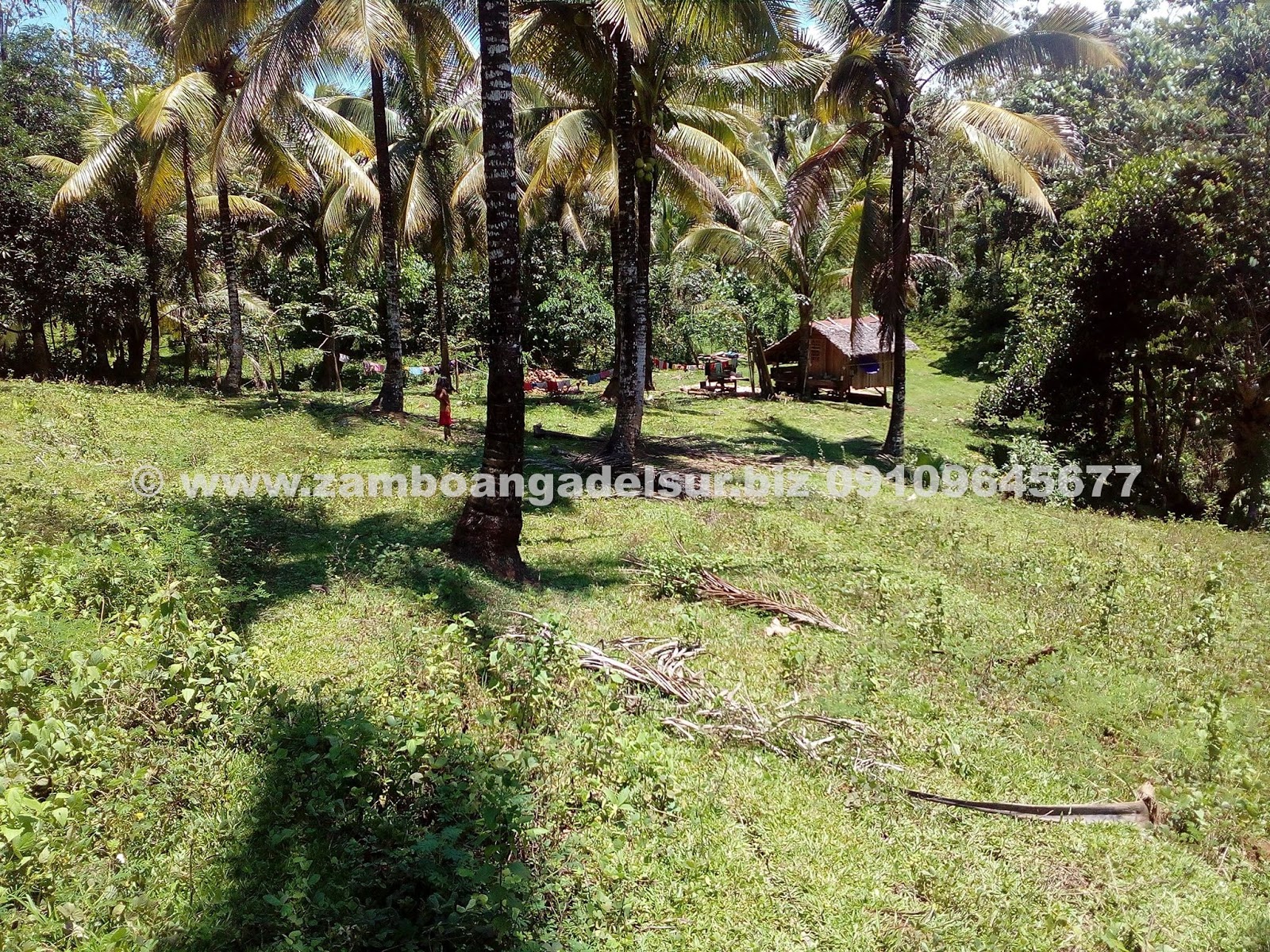 Zamboanga del Sur Properties