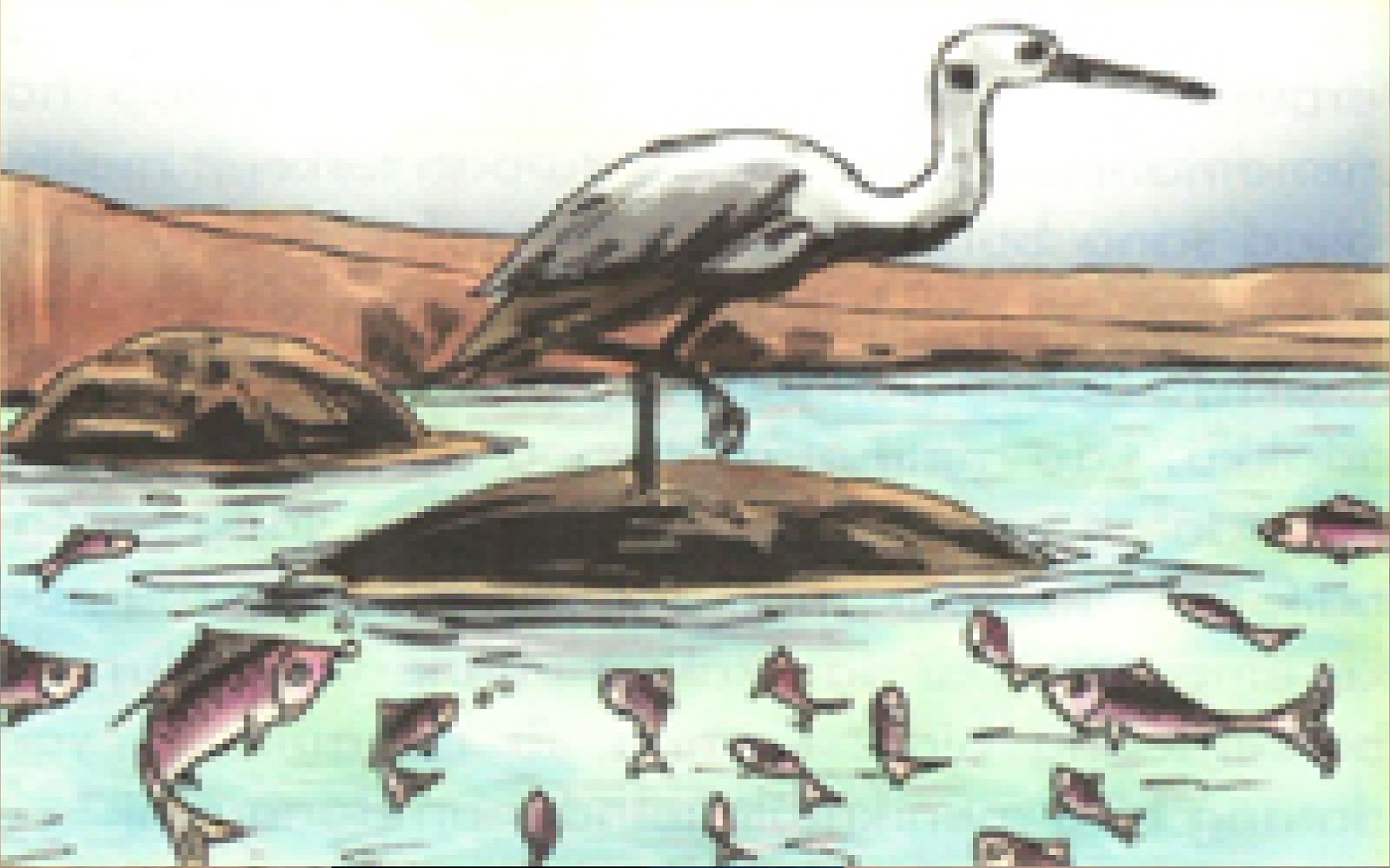 Burung Bangau Dan Seekor Ketam