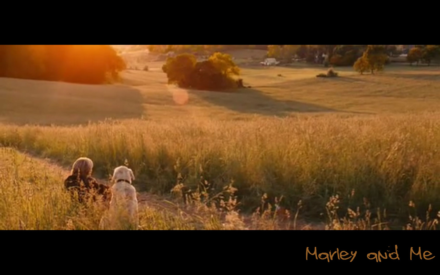 Marley & Me Marley & Me