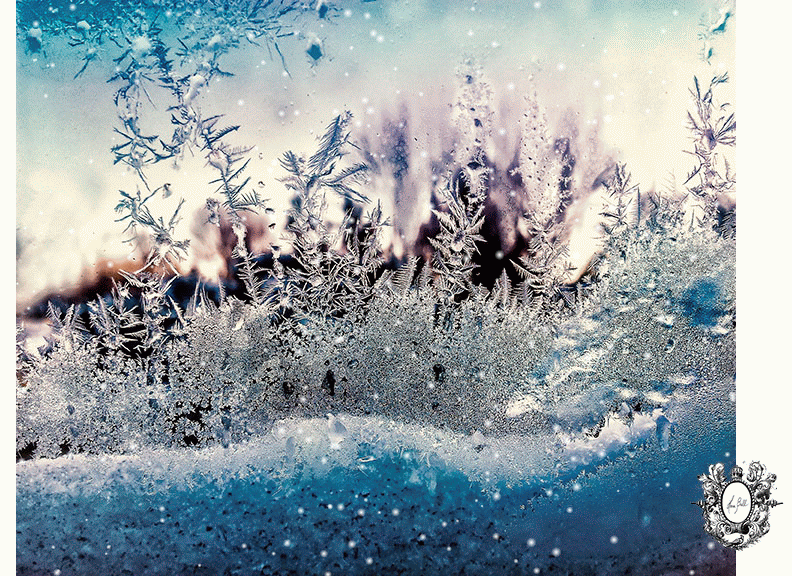 Lights, Camera, Action... by Montreal Photographer Hera Bell Holiday