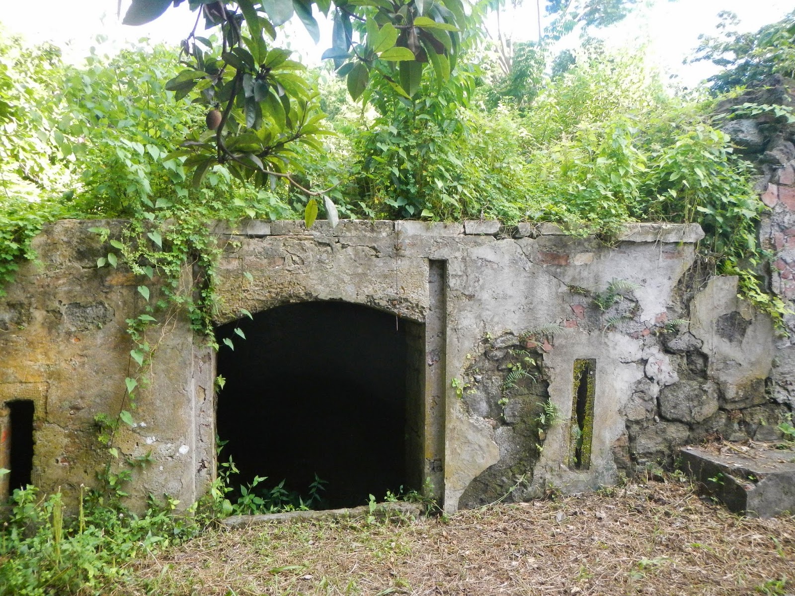 Plantation houses & Slave Pens Grenada's history