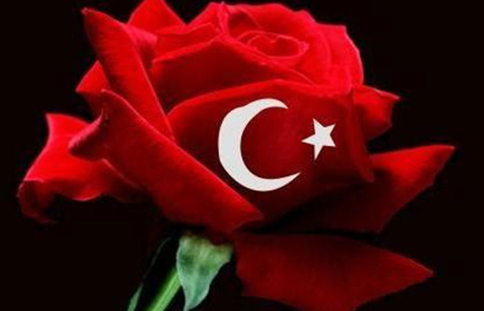 Turk bayragi gul resimleri 3