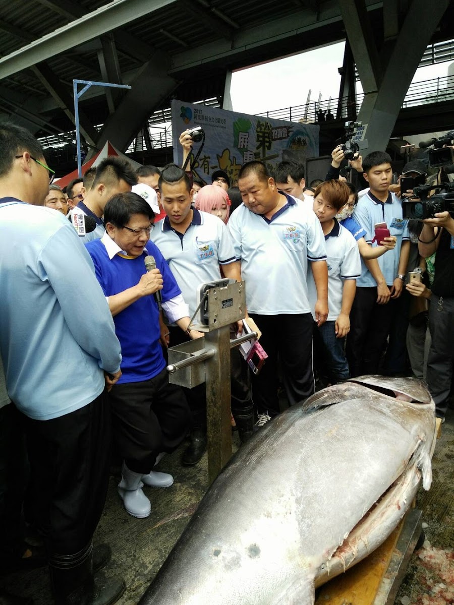 屏東東港鎮,人稱「鮪魚哥」的蕭受發,靠著去年捕鮪的盈餘,再自己加碼,明 (25) 日將替屏東縣的清寒學子辦圍爐、發紅包。 屏東東港鎮,人稱「鮪魚哥」的蕭受發,靠著去年捕鮪的盈餘,再自己加碼,明 (25) 日將替屏東縣的清寒學子辦圍爐、發紅包。