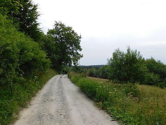 Drogą gruntową obchodzimy wierzchołek Prorokowej Góry.