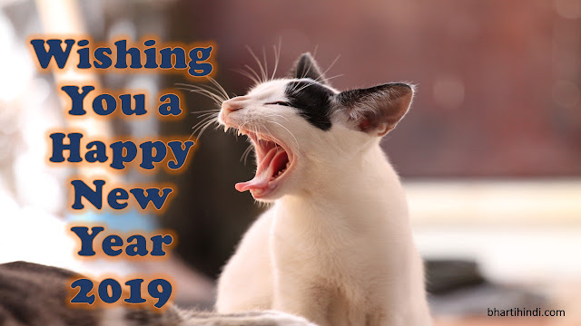 Happy New Year 2019 Funny Image