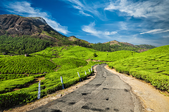 5 Hill Stations in South India that Will Leave You Breathless