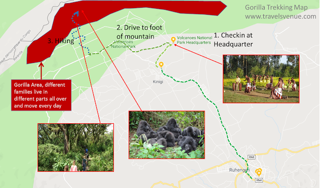 Rwanda Volcanes Nationalpark Area with Kingi Headquarter and the place where to start hiking.