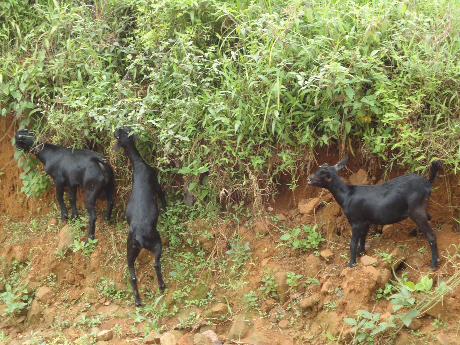 In Pursuit of Hope Lloyd Dobler I don't want to sell anything, buy