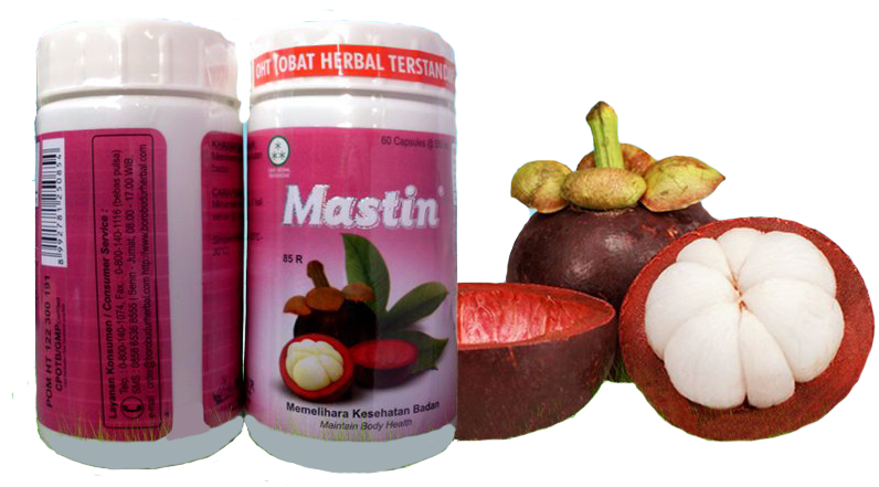 Mastin Ekstrak Kulit Manggis Mastin Ekstrak Kulit Manggis