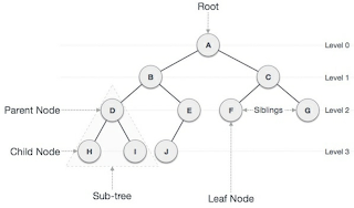 Data Structures, Understanding and Explanation of Data Structures
