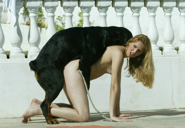 Animal Sex With Women - woman sex dog nude video - Animal Porn - Dog Porn Videos sex ...