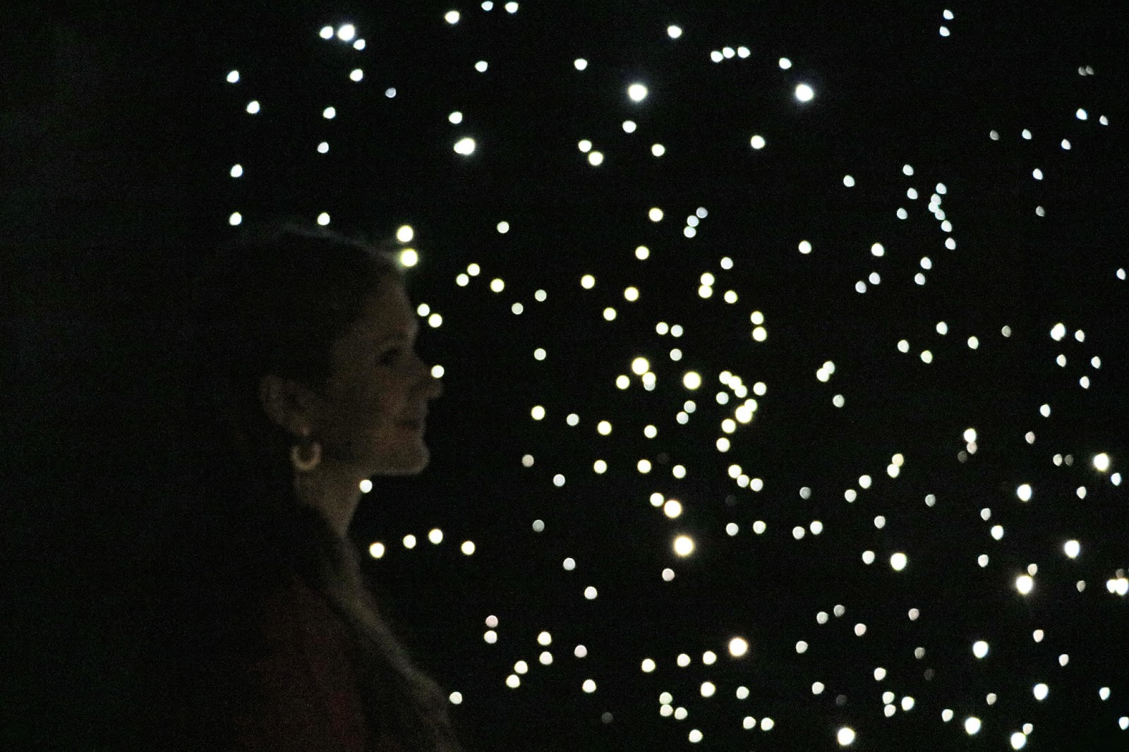 Stars at the Medellin Planetarium