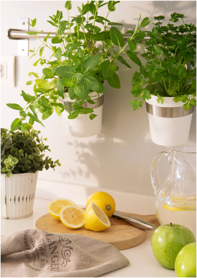 7 plantas que ayudan a subir el ánimo