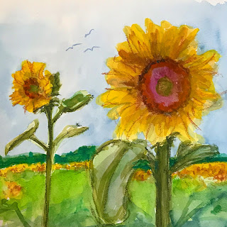 colorful sunflowers watercolor