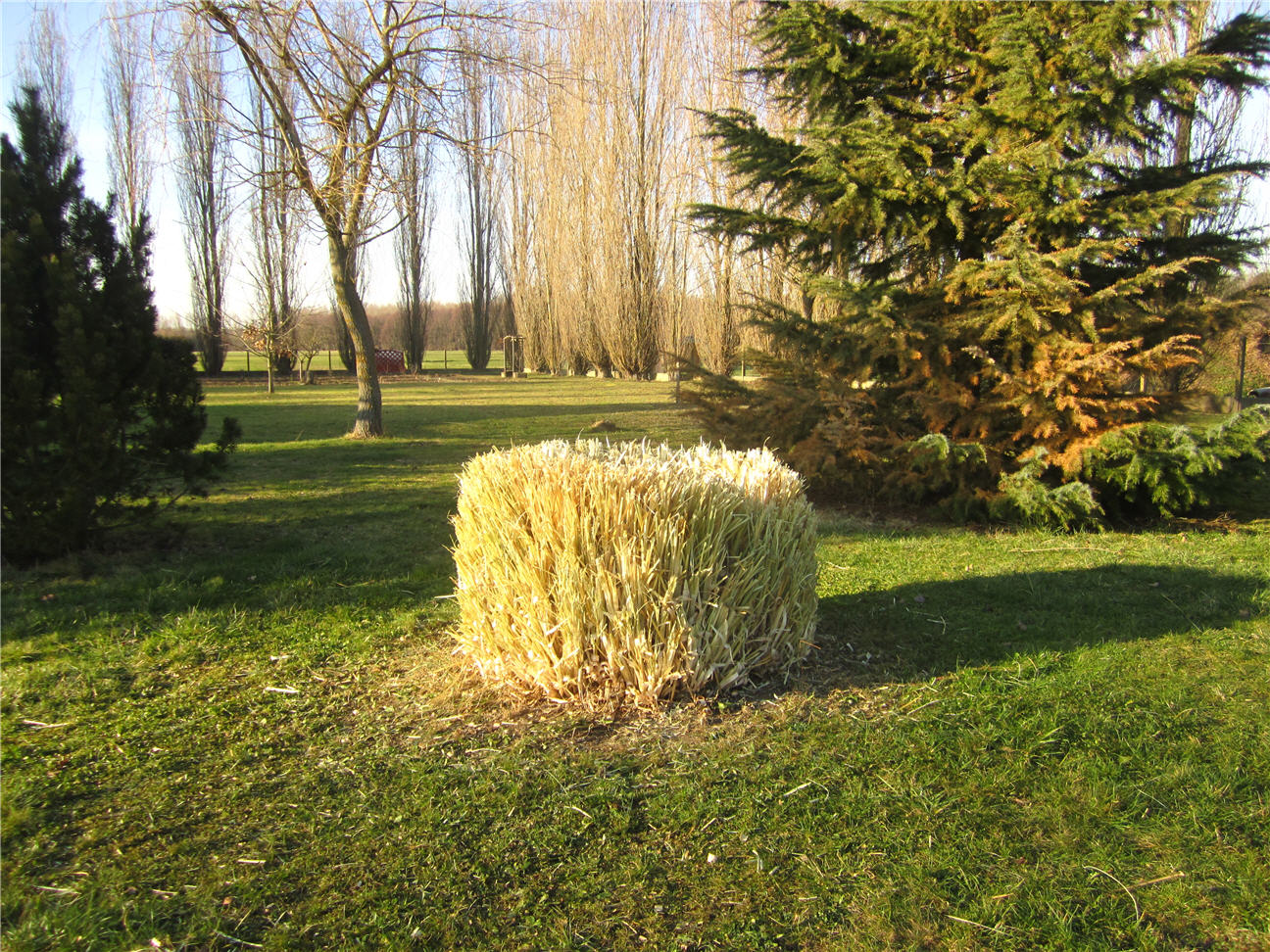 The story of our life returning to England from Braye-sous-Faye: Better