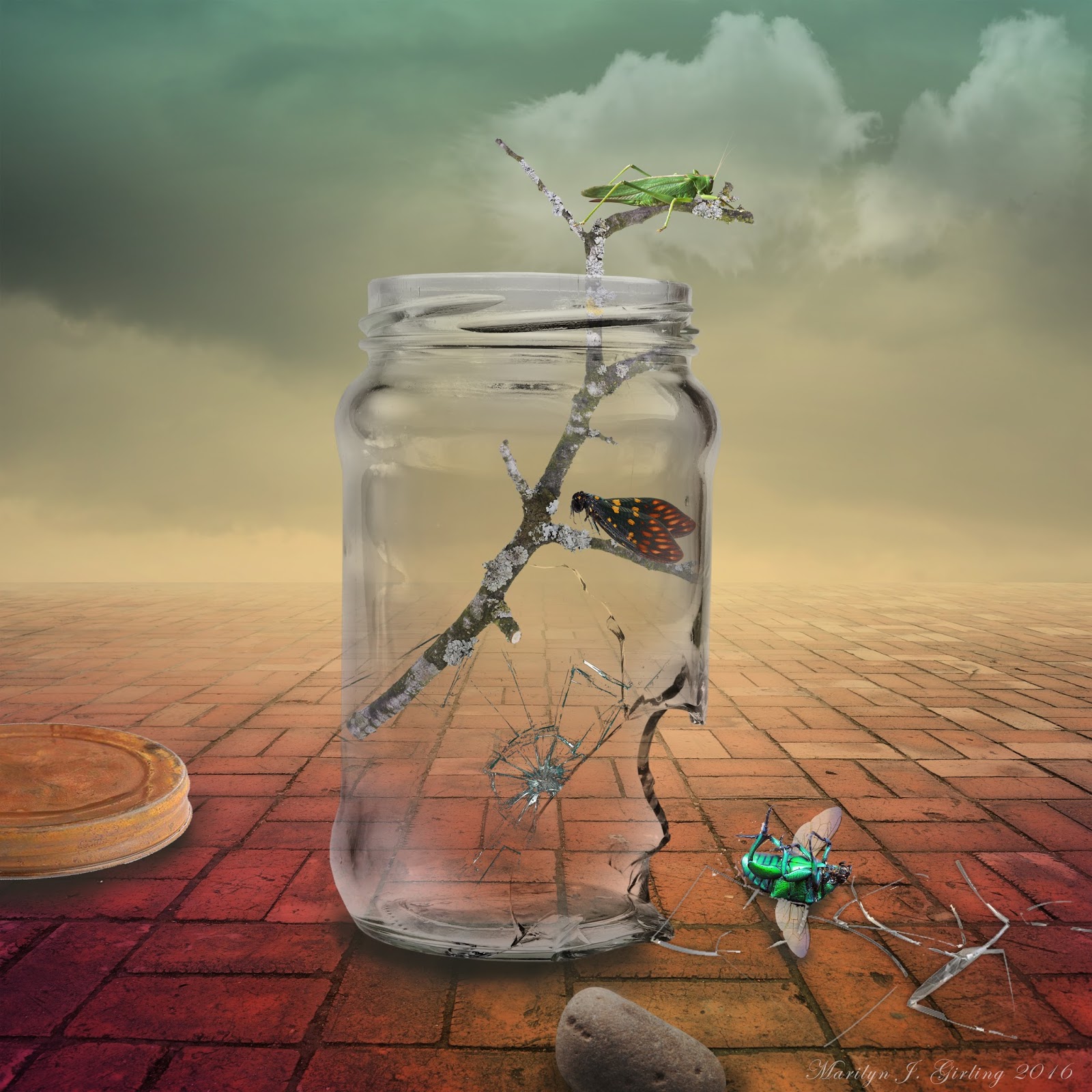 Seeing Things Art Apothecarium Sticks And Stones