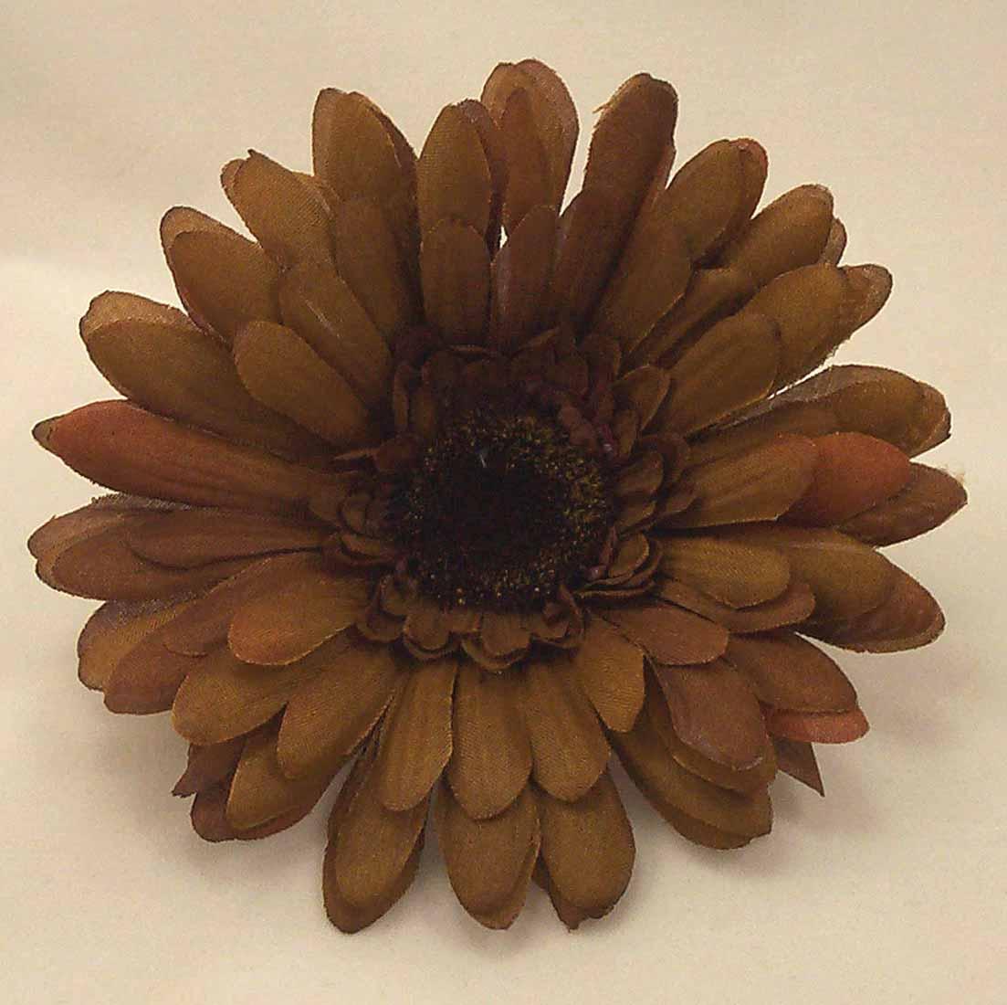 flowers for flower lovers.: Brown flowers pictures.