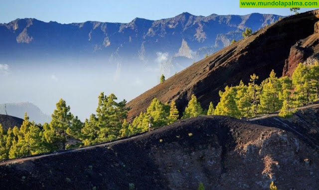 La Isla de La Palma, epicentro del Trail Running Nacional