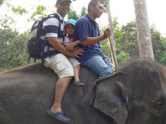 Naik Gajah, Kuala Gandah