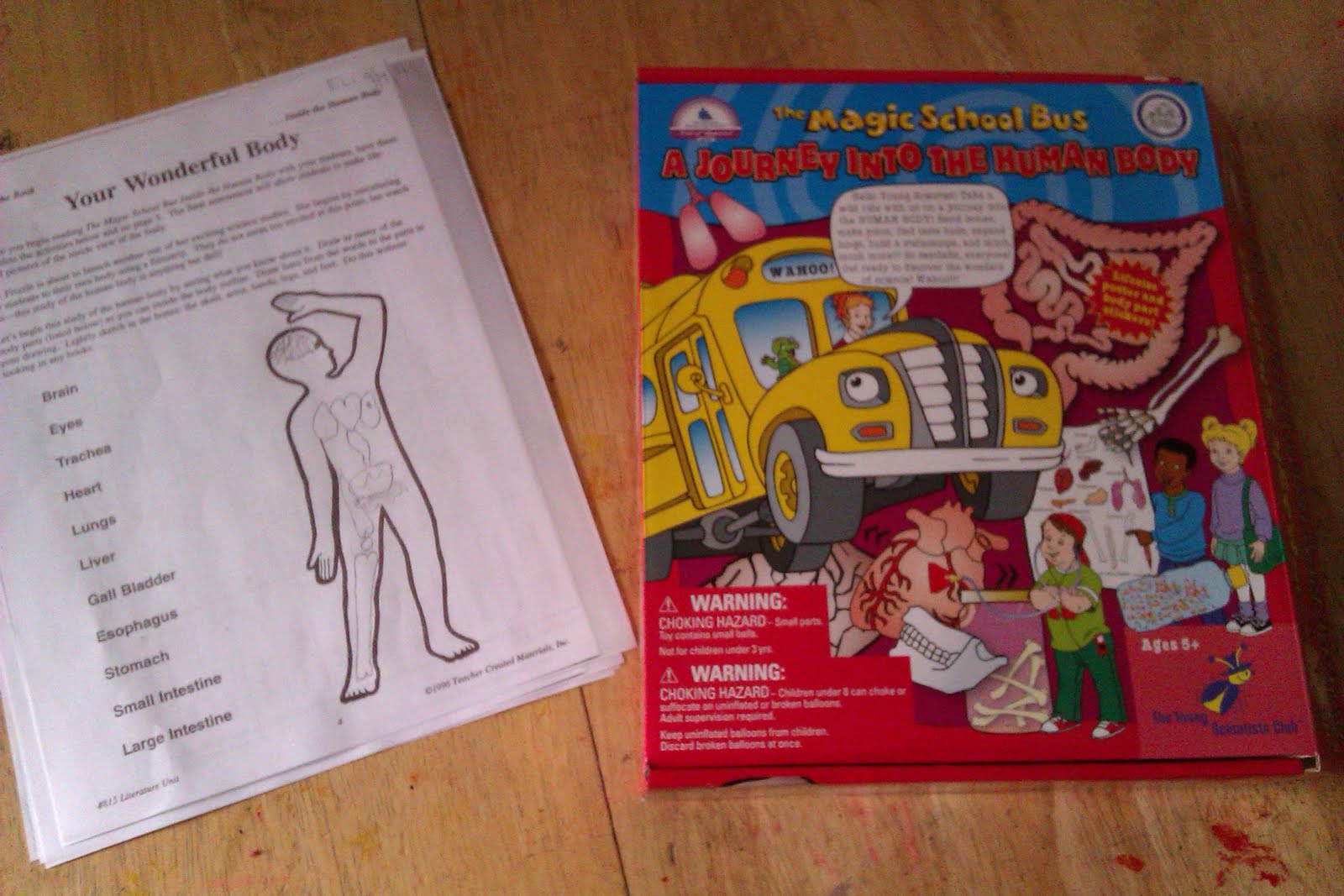 Bugs, Boys and Boo Boos: The Magic School Bus A Journey into the Throughout Incredible Human Machine Worksheet Bugs, Boys and Boo Boos: The Magic School Bus A Journey into the Throughout Incredible Human Machine Worksheet