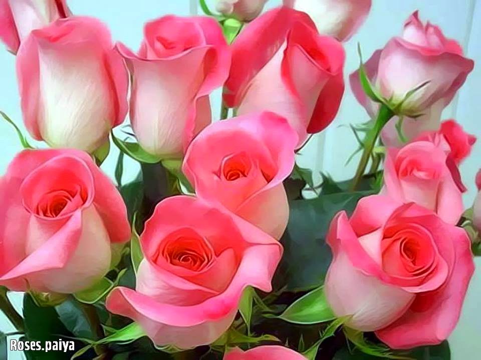 Order Online Flowers Delivery in Delhi Awesome Way to Express