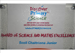 Award of Excellence in Science and Maths 2013