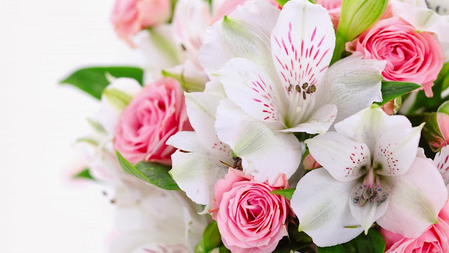 Orquídeas Blancas y Rosas Rosadas