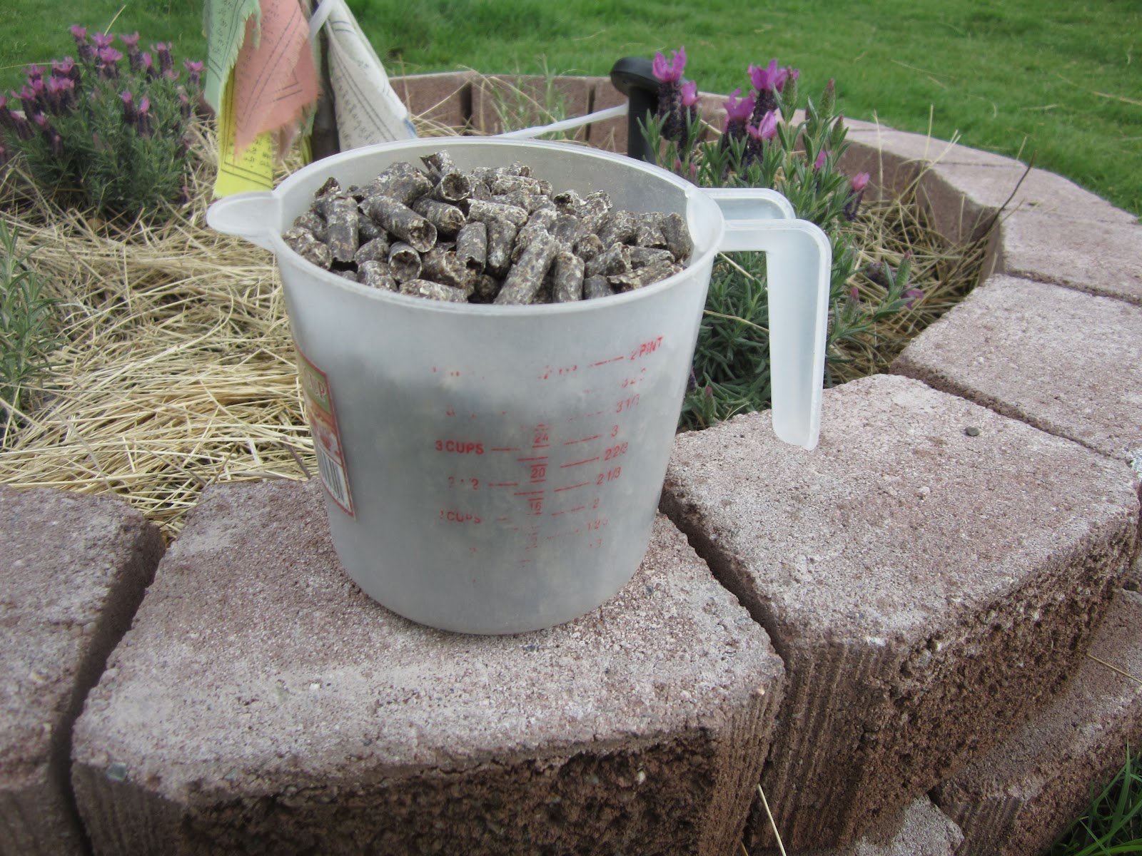 In which the miraculous nature of beet pulp is discussed and lauded