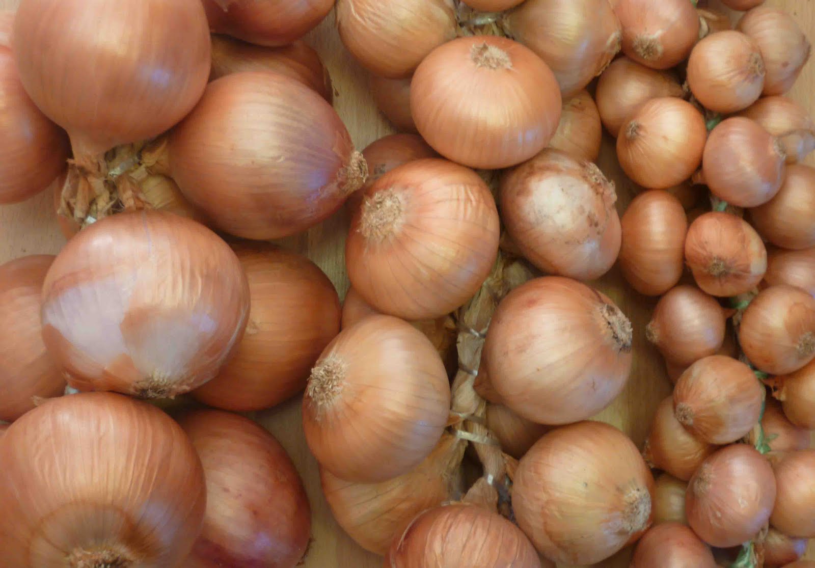 Positively Portugal Onions from down under...